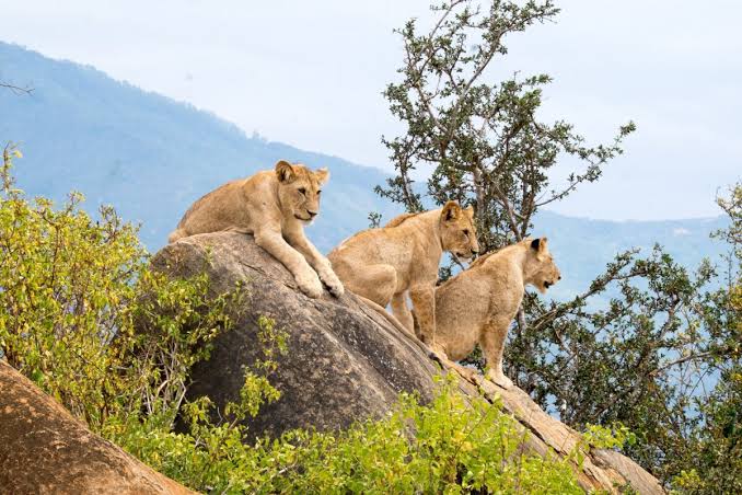 Adventure Safari Uganda