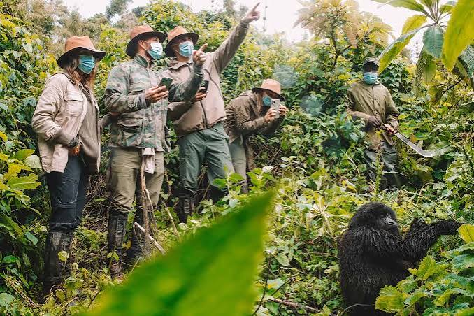Uganda Trekking Tour
