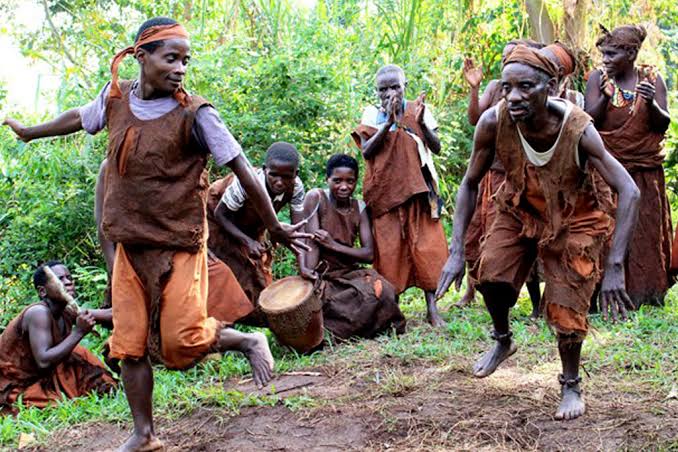 Best Activities in Ruhija Gorillas 