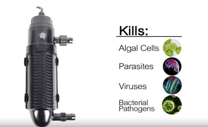 How to set up an aquarium UV sterilizer
