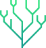 tree branches