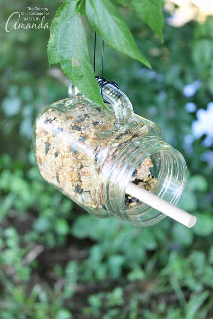 bird feeder craft