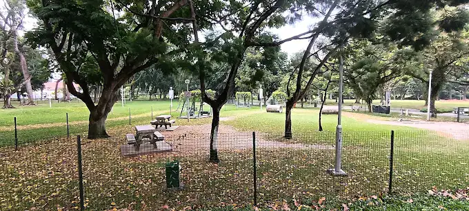 BishanDogRun(Google)Forest BK 2025