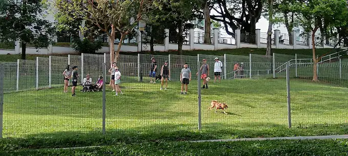 ClementiWoodsParkDogRun(Google)Forest BK 2025 (1)