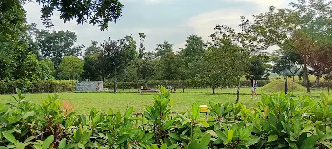 JurongLakeGardensDogRun (Goggle) - Forest BK 2025