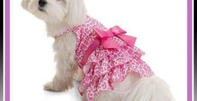 ropa para cachorritas