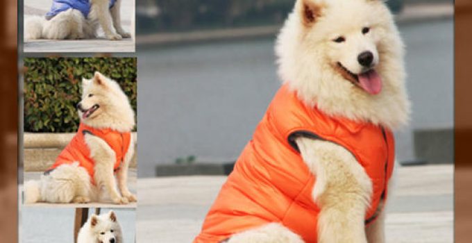 ropa para perros grandes barata