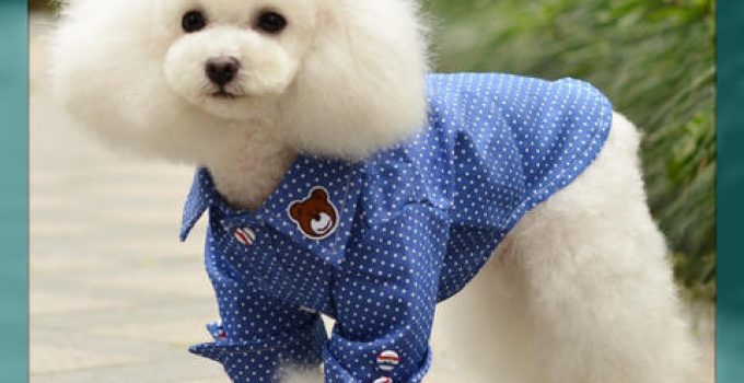 ropa para perros machos moldes