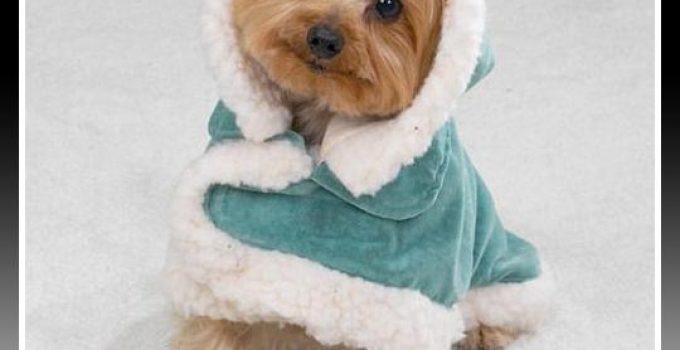 abrigo con gorro para shitzu