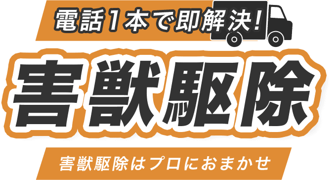 害獣駆除はプロにおまかせ