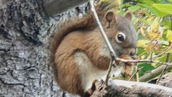 Podcast: Nicht noch ein Reisepodcast