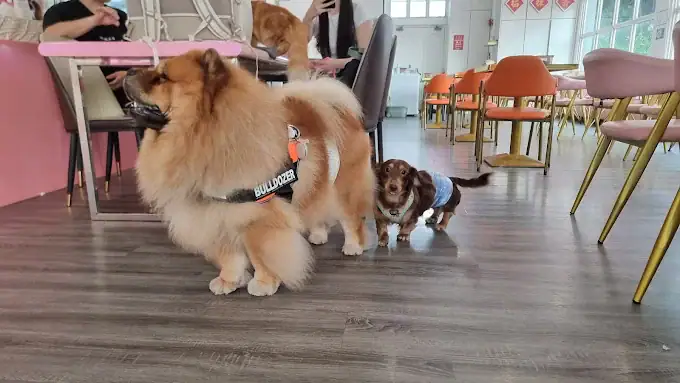 Ménage Café4