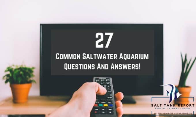 common saltwater aquarium questions and answers