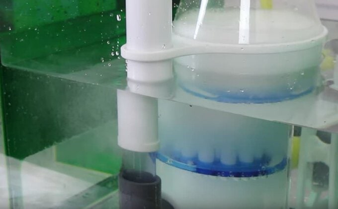 In Sump Protein Skimmer Set up Guide