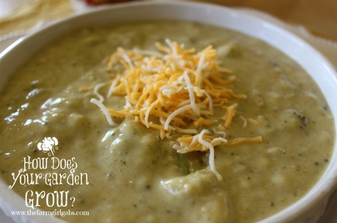 Farm Fresh Broccoli Soup - Feature