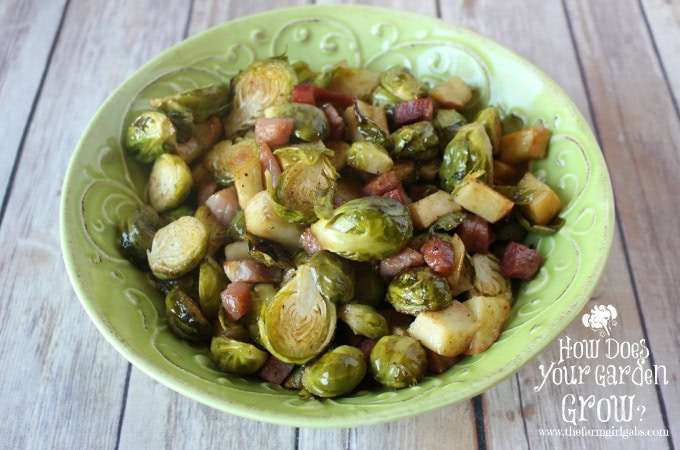 Brussels Sprouts - Feature 2