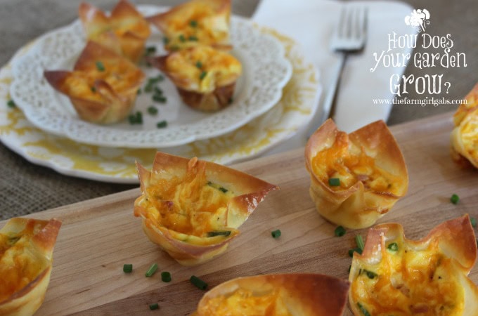 Ham & Cheese Quiche Bites - www.thefarmgirlgabs.com