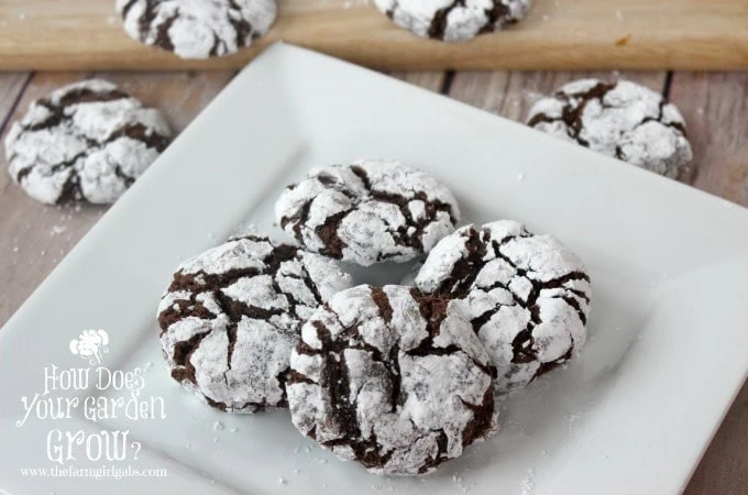 Spiked Spiced Chocolate Crinkle Cookies - Feature 1