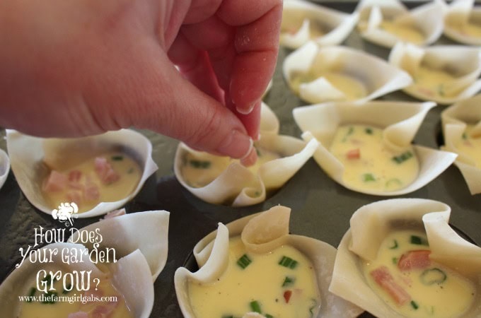 Filled Ham & Cheese Quiche Bites