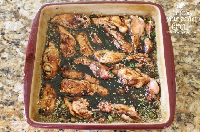 Marinating Honey Sesame Wings