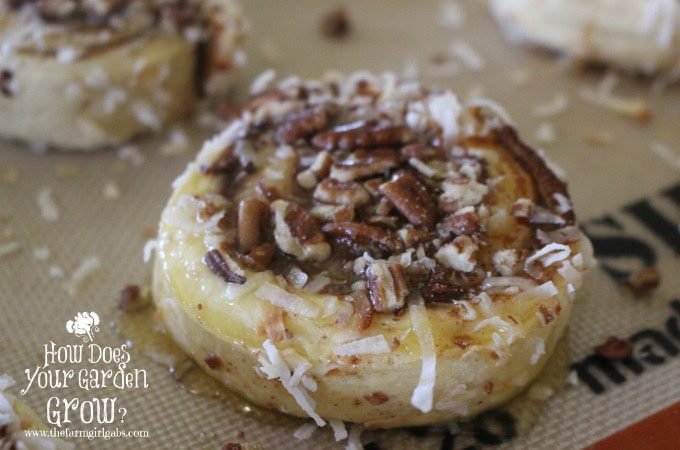 Pecan OJ Breakfast Rolls