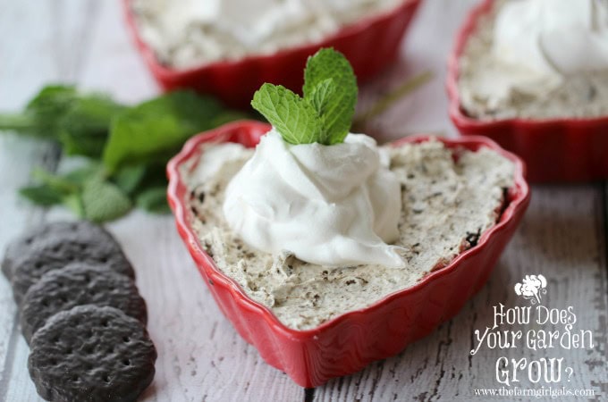 Thin Minty Cheesecake in Heart Ramekins