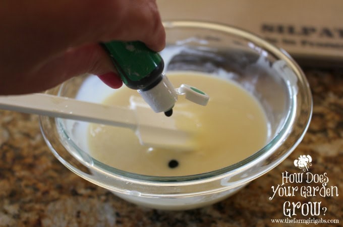 Coconut Macaroon Nests - Step 1