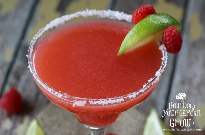 blended raspberry margarita recipe