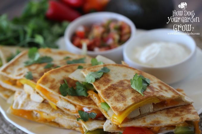 Chicken Fajita Quesadillas - Feature 1