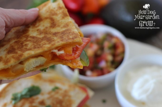 Chicken Fajita Quesadillas - close