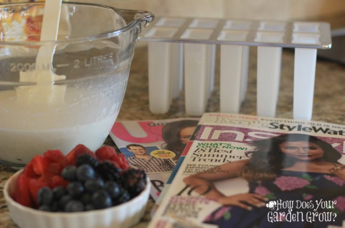 Berry Yogurt Popsicles - 1