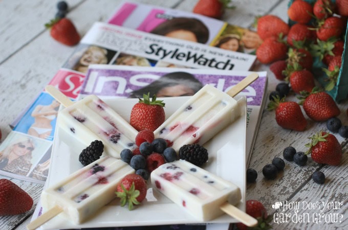 Berry Yogurt Popsicles - 4