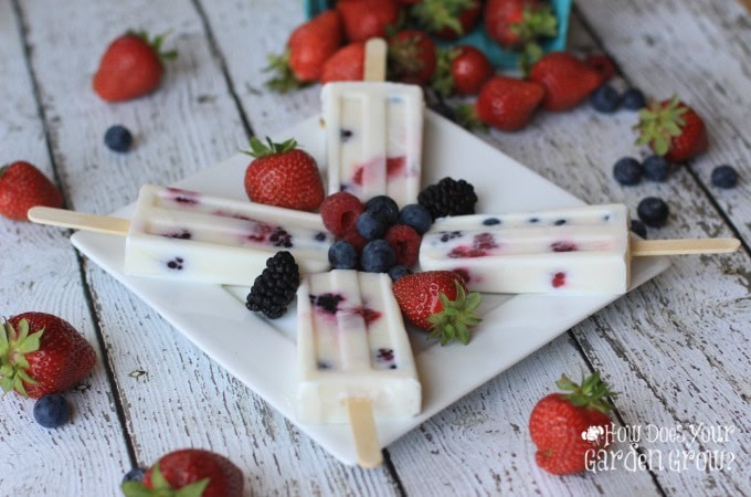 Berry Yogurt Popsicles - Feature 1