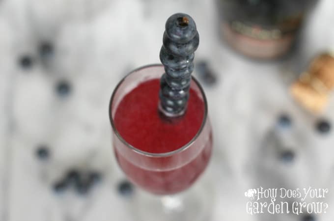 Blueberry Bellini - Feature 1