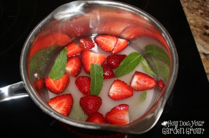 Strawberry and Mint Simple Syrup