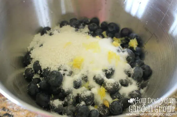 Blueberry Filling