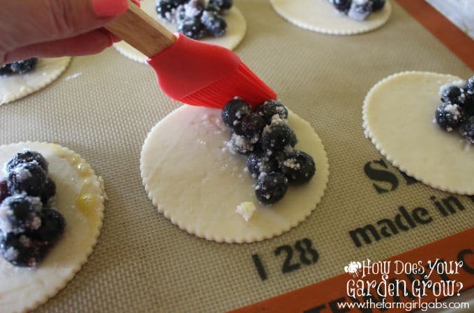 Blueberry Hand Pie Filling