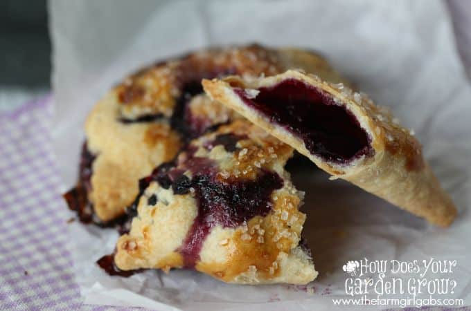 Blueberry Hand Pies - Close Feature