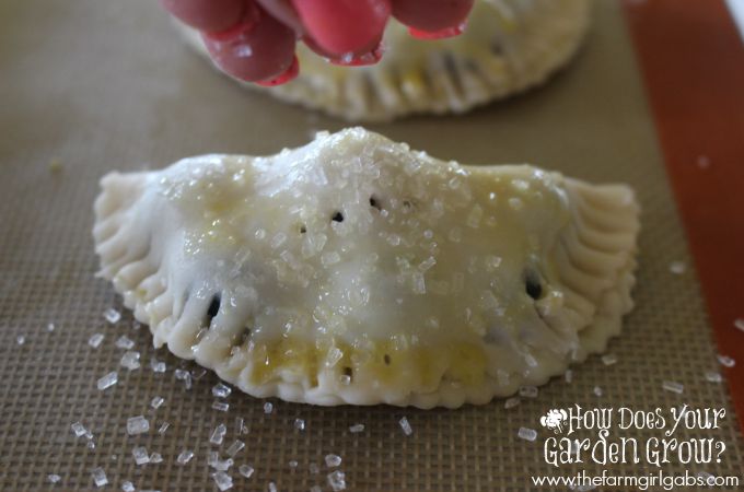 Blueberry Hand Pies Sugar