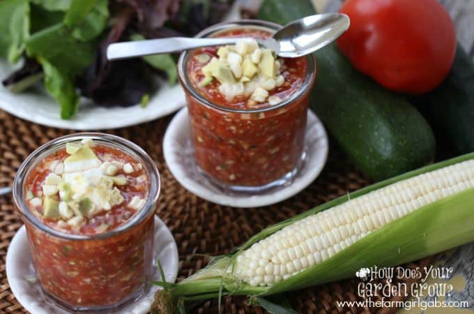 Garden Fresh Gazpacho - Feature 2