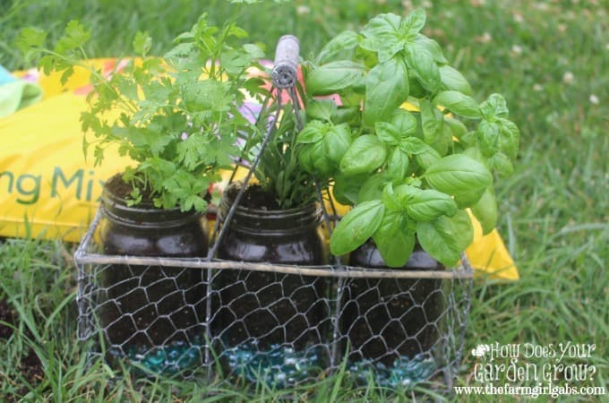 Mason Jar Herb Garden - 2