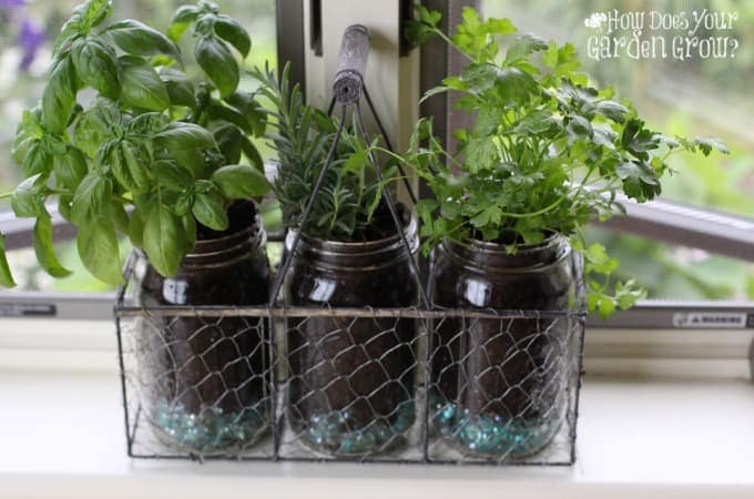 Mason Jar Herb Garden - Feature 1