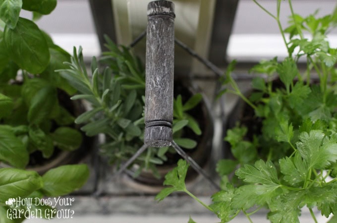 Mason Jar Herb Garden - Feature 4