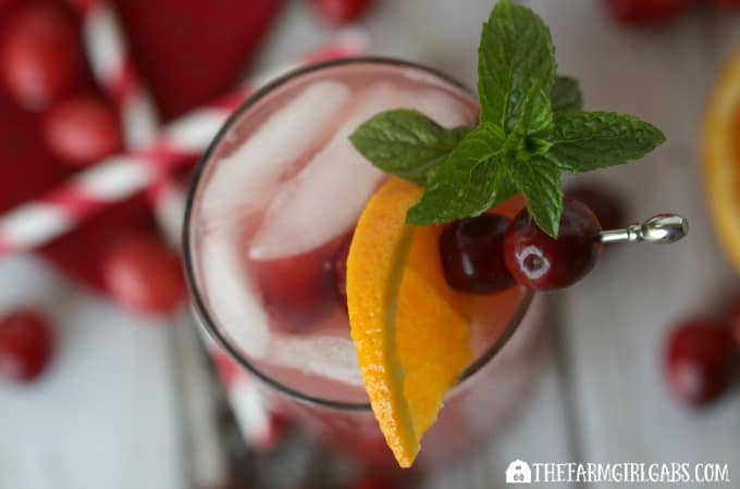 Cranberry Orange Fizzy - Feature 1