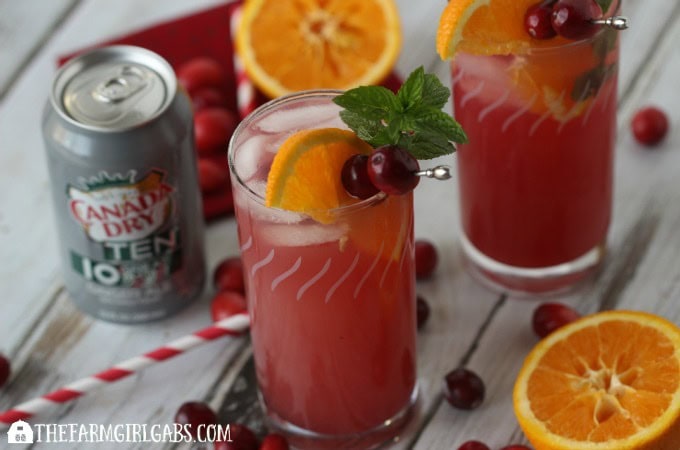 Cranberry Orange Fizzy