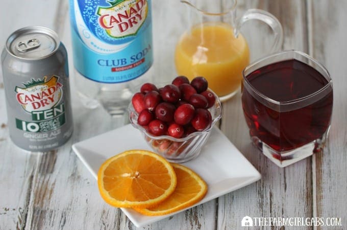 Cranberry Orange Fizzy Ingredients