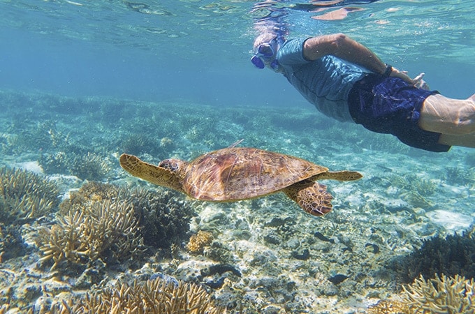 Lady Elliot Island - digital detox