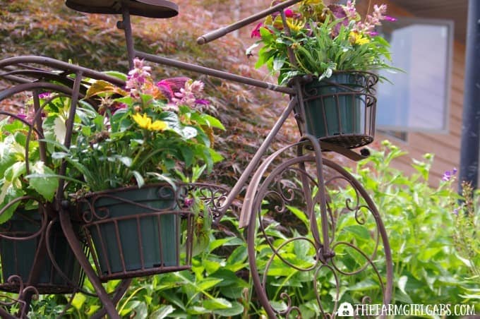 10 Ways to get your gardens ready for spring.