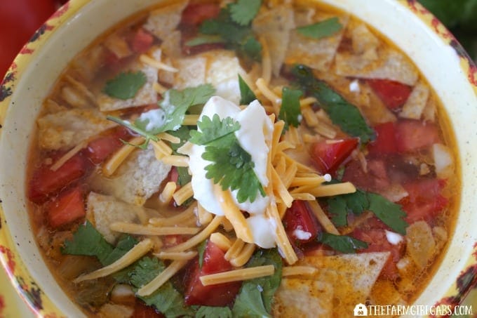 This zesty Chicken Tortilla Soup has just enough zing to warm you up on a cold day.