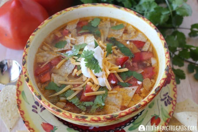 Chicken Tortilla Soup